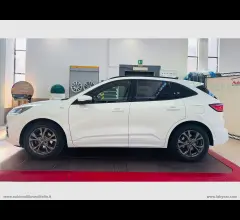 Auto - Ford kuga 1.5 ecoblue 120 cv 2wd st-line x !!!tetto panoramico!!!