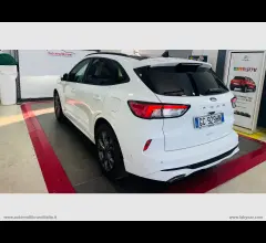 Auto - Ford kuga 1.5 ecoblue 120 cv 2wd st-line x !!!tetto panoramico!!!
