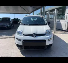 Auto - Fiat panda 1.0 firefly s&s hybrid city life