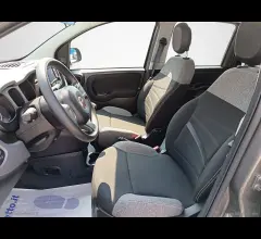 Auto - Fiat panda 1.0 firefly s&s hybrid red