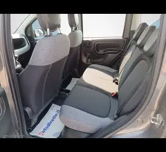 Auto - Fiat panda 1.0 firefly s&s hybrid red