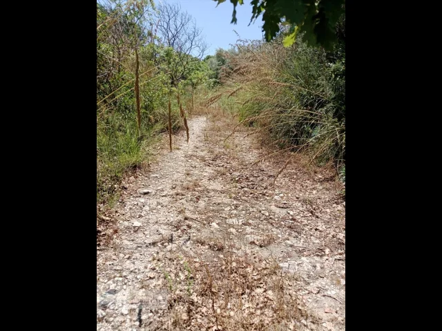 Terreno agricolo in vendita a castronovo di sicilia contrada finocchiara
