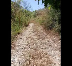 Terreno agricolo in vendita a castronovo di sicilia contrada finocchiara