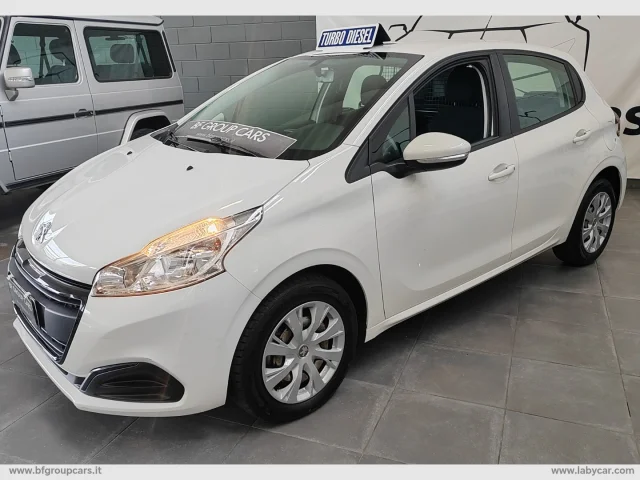Auto - Peugeot 208 bluehdi 100 s&s 5 porte van active