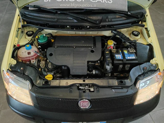 Auto - Fiat panda 1.3 mjt 16v 4x4 climbing