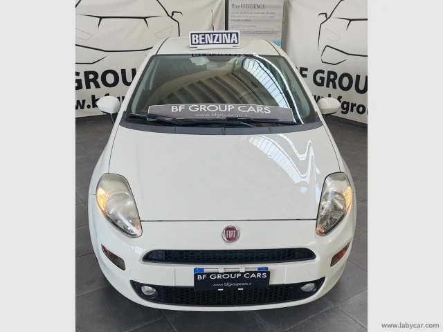 Auto - Fiat punto 1.2 8v 5p. easy