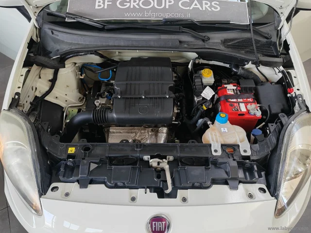 Auto - Fiat punto 1.2 8v 5p. easy