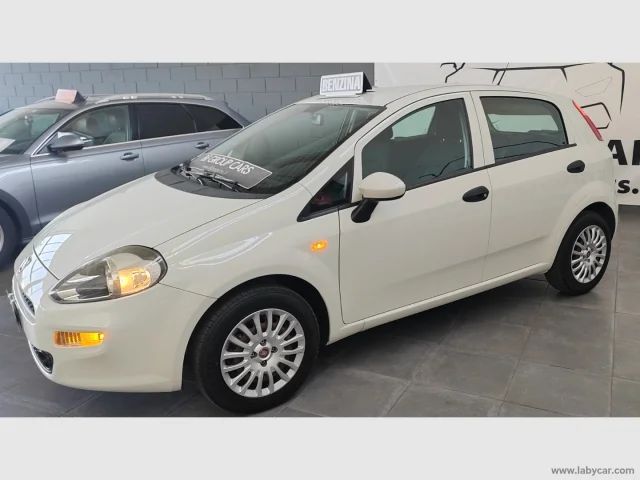 Auto - Fiat punto 1.2 8v 5p. easy