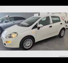 Auto - Fiat punto 1.2 8v 5p. easy