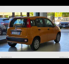 Auto - Fiat panda 1.2 pop