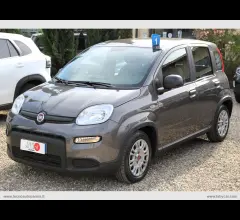 Auto - Fiat panda 1.0 firefly s&s hybrid