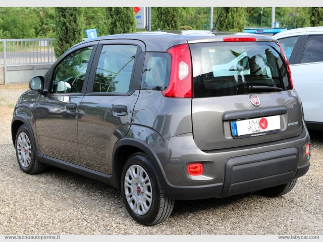 Auto - Fiat panda 1.0 firefly s&s hybrid