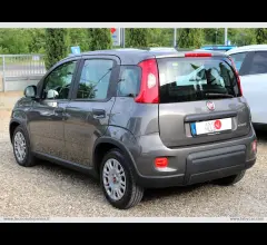 Auto - Fiat panda 1.0 firefly s&s hybrid