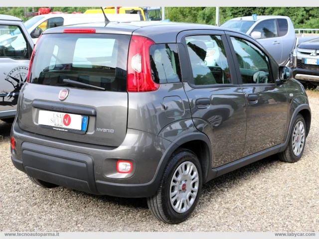 Auto - Fiat panda 1.0 firefly s&s hybrid