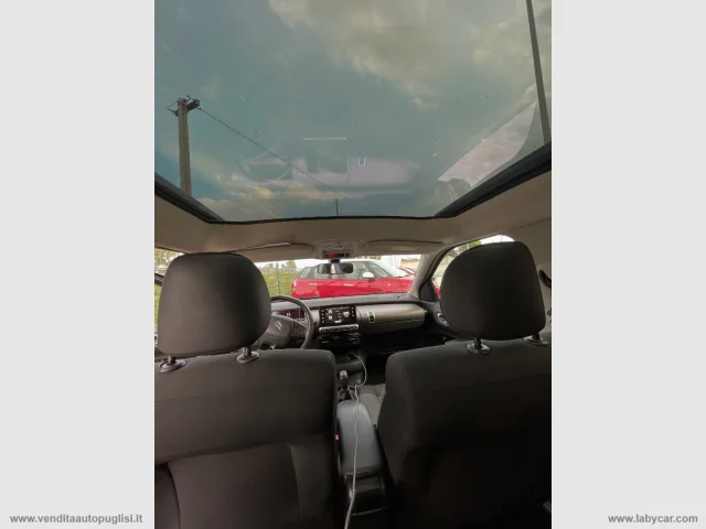 Auto - Citroen c4 cactus bluehdi 100 shine