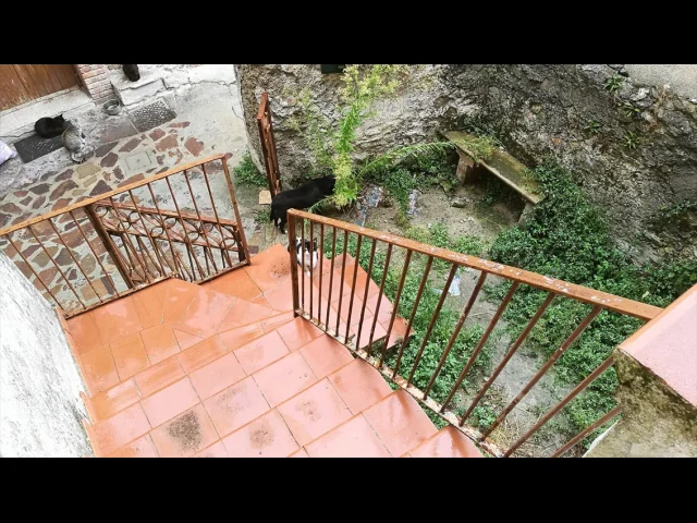Appartamenti in Vendita - Terreno agricolo in vendita a santo stefano di rogliano strada statale 19
