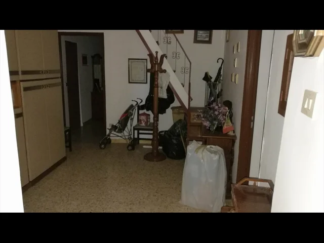 Appartamenti in Vendita - Terreno agricolo in vendita a santo stefano di rogliano strada statale 19