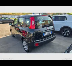 Auto - Fiat panda 1.2 easy