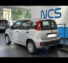 Auto - Fiat panda 1.2 easy