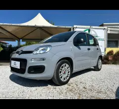 Auto - Fiat panda 1.0 firefly s&s hybrid
