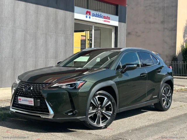 Lexus ux 250 hybrid executive