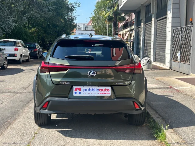 Auto - Lexus ux 250 hybrid executive