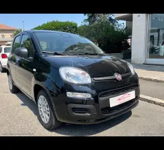 Auto - Fiat panda 1.0 firefly s&s hybrid