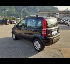 Auto - Fiat panda 1.2 60cv bz 4x4 climbing