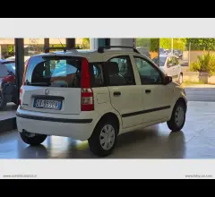 Auto - Fiat panda 1.2 dynamic gpl