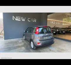 Auto - Fiat panda 1.0 firefly s&s hybrid