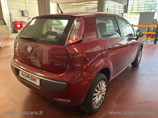 Auto - Fiat punto evo 1.4 5p. active natural power