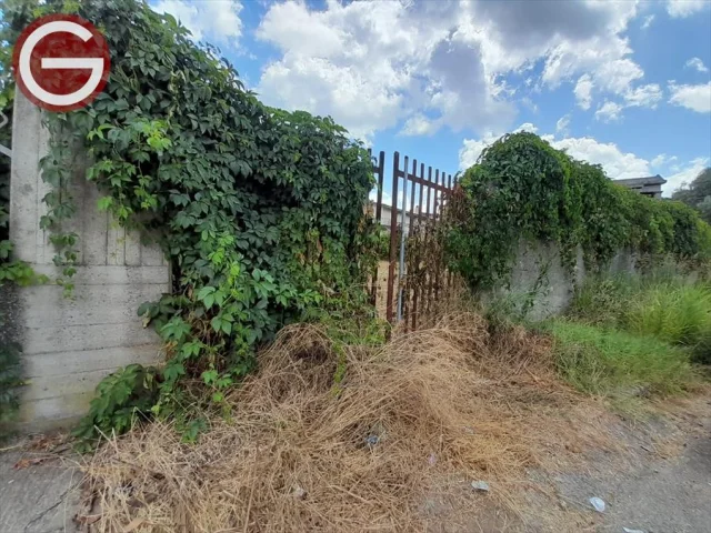 Appartamenti in Vendita - Terreno edificabile in vendita a taurianova periferia