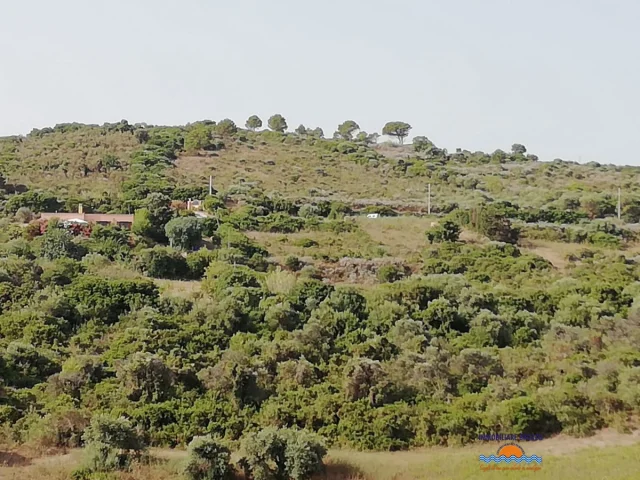 Terreno