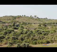Appartamenti in Vendita - Terreno
