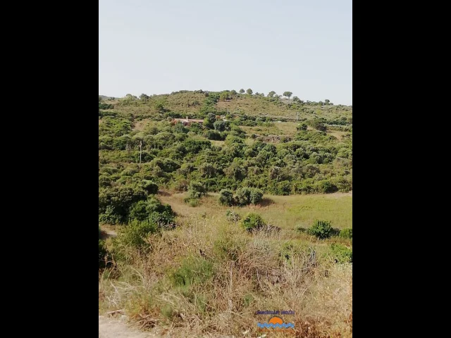 Appartamenti in Vendita - Terreno