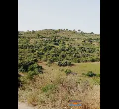 Appartamenti in Vendita - Terreno
