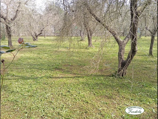 Appartamenti in Vendita - Semindipendente con terreno nella piana di castelnuovo magra