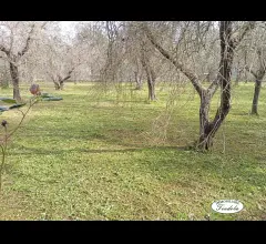 Appartamenti in Vendita - Semindipendente con terreno nella piana di castelnuovo magra