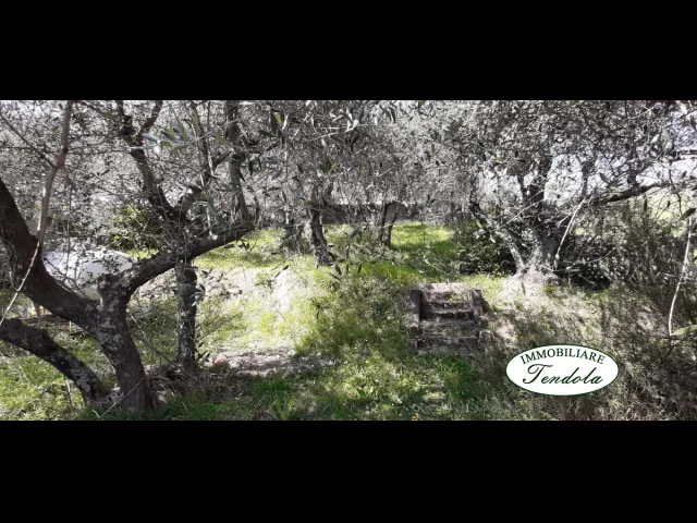 Appartamenti in Vendita - Semindipendente bifamiliare vista mare