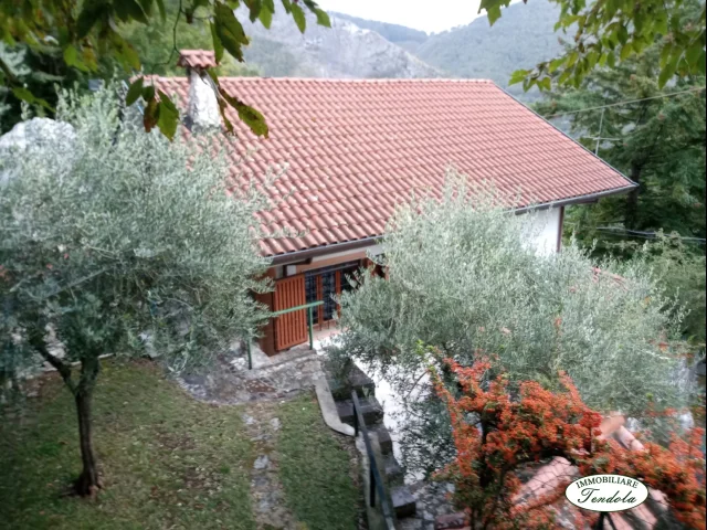 Appartamenti in Vendita - Casa indipendente con terreno a piane alta collina di massa