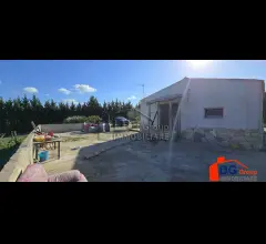 Appartamenti in Vendita - Indipendente immerso nel verde in zona calatubo