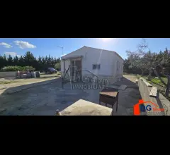Appartamenti in Vendita - Indipendente immerso nel verde in zona calatubo