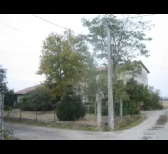 Cascina con terreno per allevamento castenuovo scrivia ad.ze