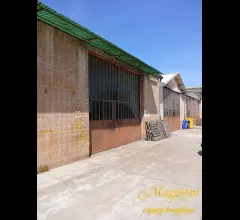 Appartamenti in Vendita - Capannone