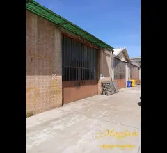 Appartamenti in Vendita - Capannone