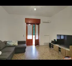 Appartamenti in Vendita - Ampio 3 vani + acc. con cantina zona canneto centro