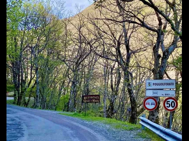 Casa divisa in 4 bilocali da reddito