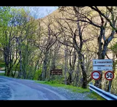 Casa divisa in 4 bilocali da reddito