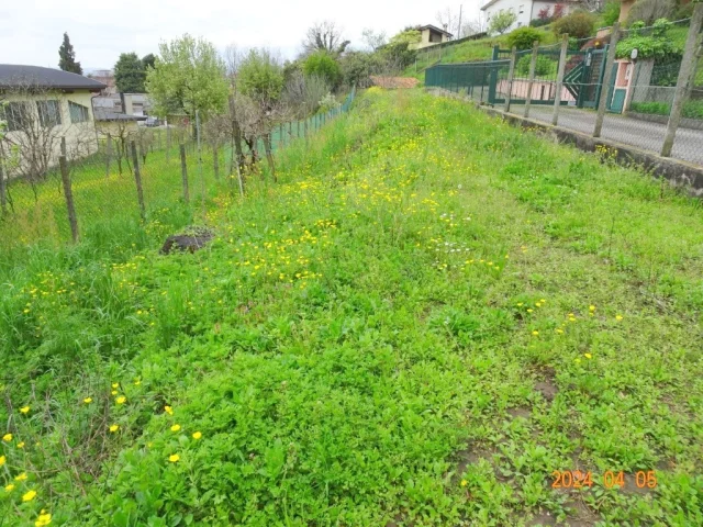 Appartamenti in Vendita - Terreno edificabile a oggiono