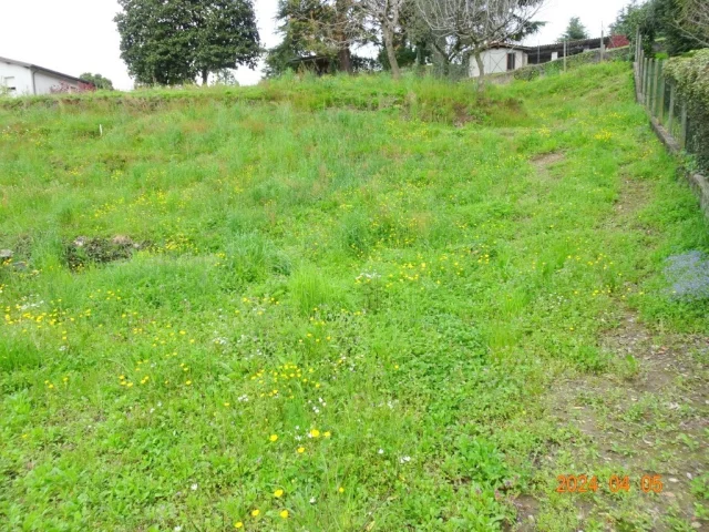 Appartamenti in Vendita - Terreno edificabile a oggiono